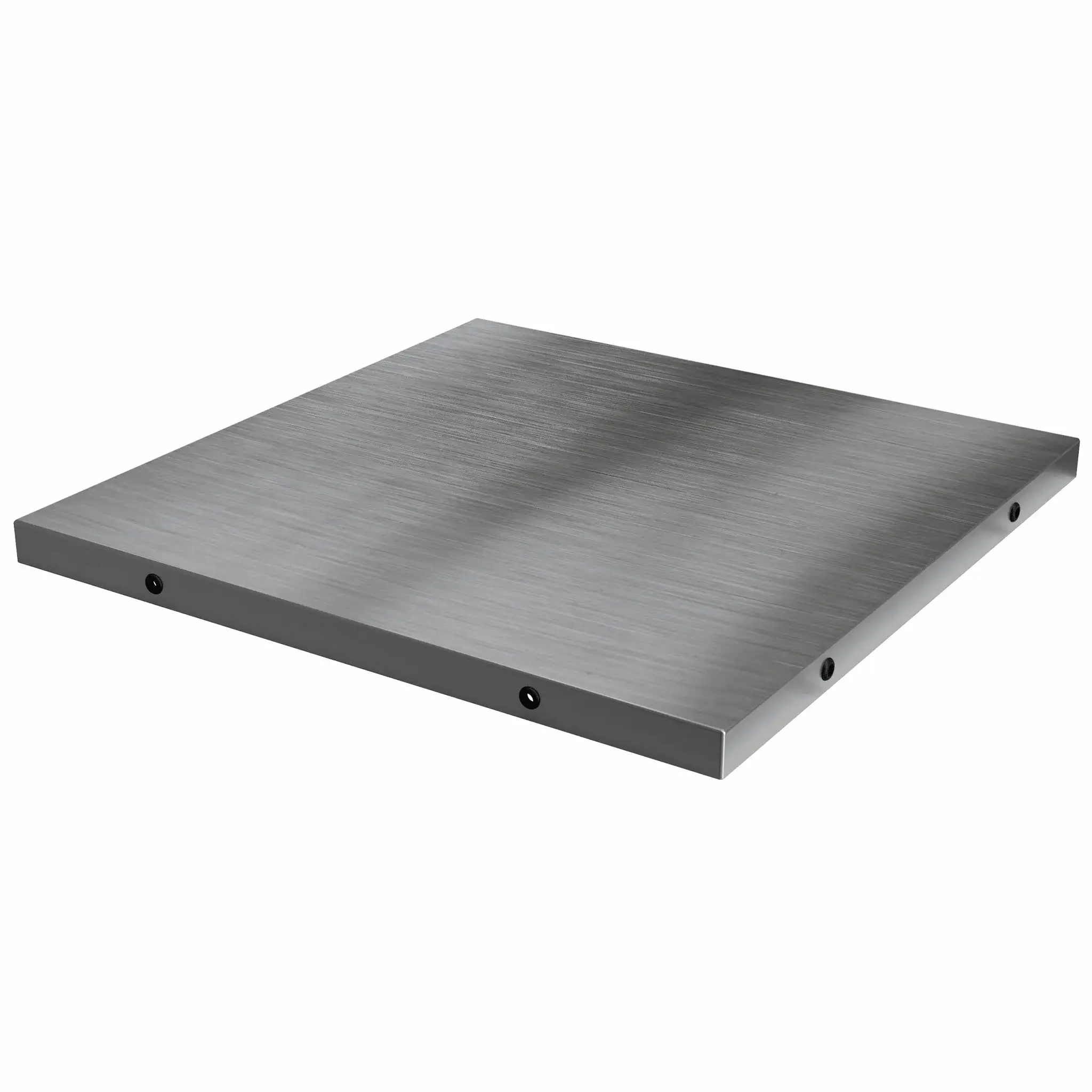 Big Green Egg Stainless Steel Insert Stainless Steel Insert