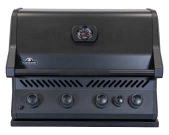 Napoleon Built-In 300 Series 32 with Rear Burner — BIR32RBPMK-FR (FR)